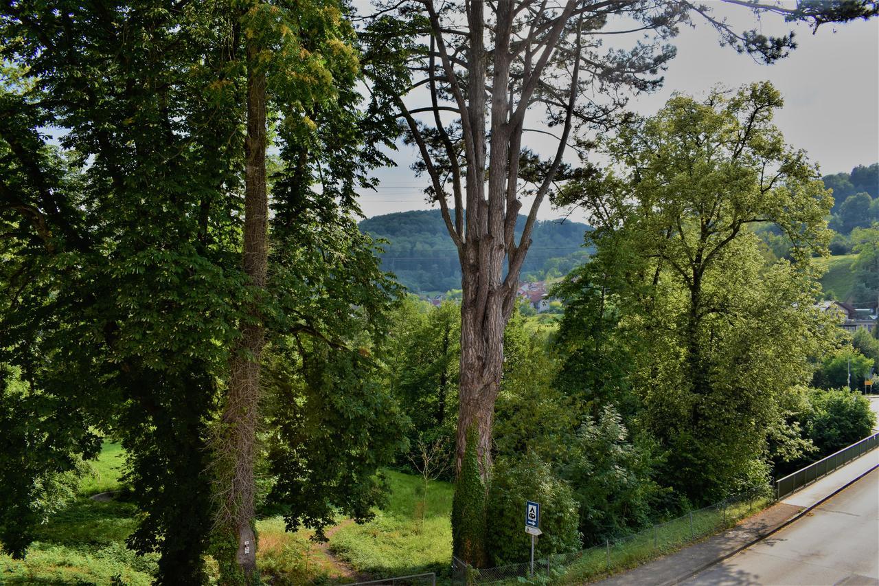 Bad Bruckhaus Erlebnishotel Waldshut-Tiengen Eksteriør billede